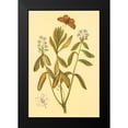 thumbnail image 2 of PI Collection 17x24 Black Modern Framed Museum Art Print Titled - Labrador Tea, 2 of 5