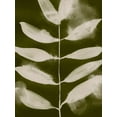 thumbnail image 2 of Barnes, Victoria 12x14 White Modern Wood Framed Museum Art Print Titled - Organic Bloom V, 2 of 4