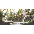 thumbnail image 4 of Fantasy Piggy Bank, Cascade Stream Flows into the Creek in a Realistic Way Secret Paradise Paint Print, Ceramic Coin Bank Money Box for Cash Saving, 3.6" X 3.2", White Brown, by Ambesonne, 4 of 4