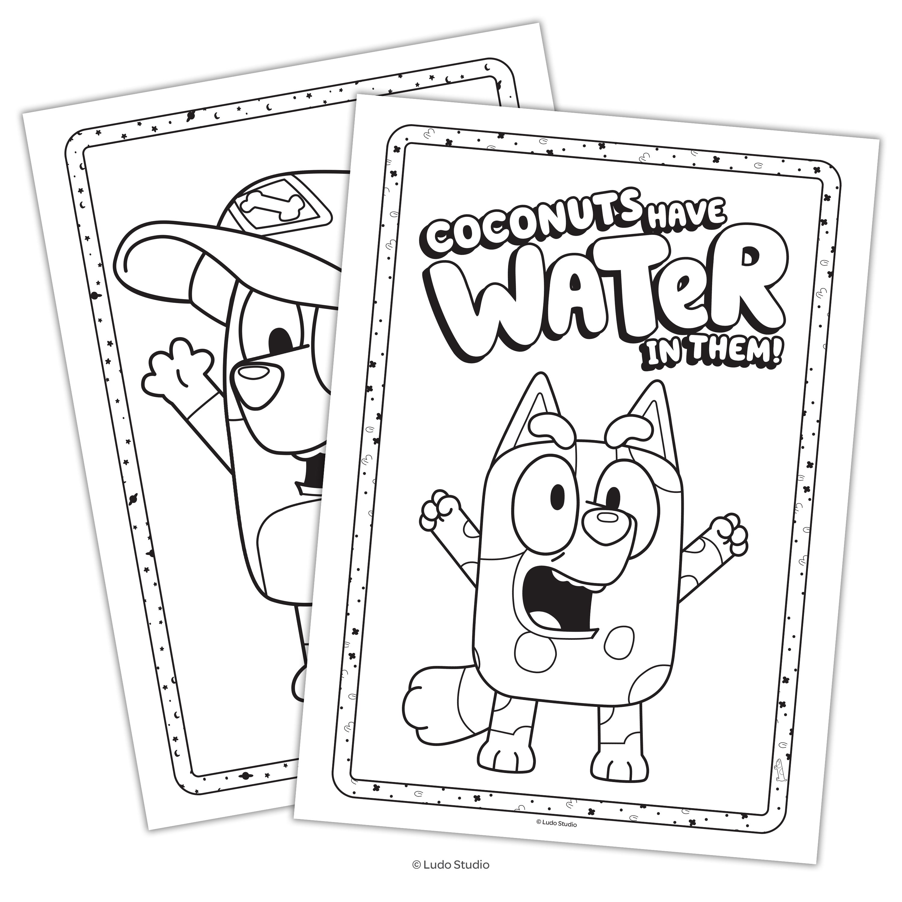 Bluey 48-Page Coloring Book with 4 Crayons, Paperback by Bendon