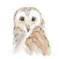 thumbnail image 2 of Paschke, Chris 15x15 White Modern Wood Framed Museum Art Print Titled - Barn Owl II, 2 of 4