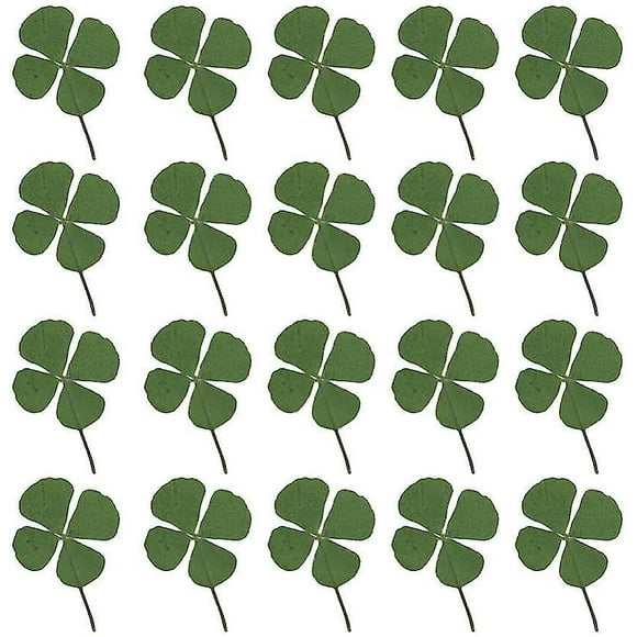 24pcs Natural Dried Flowers Four-leaf Clover Leaf Plant For Diy Resin