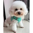 thumbnail image 2 of Miaocao Dog Harness for Small Medium Large Dogs No Pull, Puppy and Leash Set, Dogs, Step in Harness, mesh Harness. (Bule, S), 2 of 5
