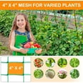 thumbnail image 6 of Trellis Netting for Climbing Plants - Heavy Duty Garden Trellis Netting for Cucumber, Vine, Fruits & Vegetables Tomato Plants Trellis Net, Climbing Vining Plants(70.87x106.3Inch), 6 of 8