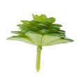 thumbnail image 1 of kurtrusly Artificial Succulents Plant Garden Miniature Fake Flower DIY Home Floral Decor Bonsai Accessory, 1 of 9