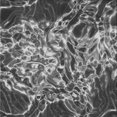 thumbnail image 1 of Ahgly Company Machine Washable Indoor Square Transitional Gunmetal Gray Area Rugs, 7' Square, 1 of 7