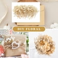 thumbnail image 5 of Dried Gypsophila Bouquet,Bexikou 5.12inch White Dried Flowers,Natural Gypsophila Branches for Wedding, Table Vase Decor, DIY Wreath Floristry, Home, Office, Party and Garden Decor, 5 of 7