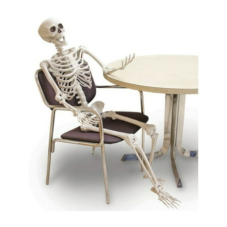 60  Posable Skeleton Halloween Decoration