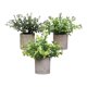 thumbnail image 5 of 3 Piezas de Plantas Falsas en Maceta Strade Fareast Limited Decorativas de Imitación 8 cm x 8 cm, 5 of 8