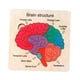 thumbnail image 5 of Rompecabezas de madera para el cerebro, juguete educativo, juegos de combinación, rompecabezas, juguete de aprendizaje preescolar, rompecabezas de, 5 of 9