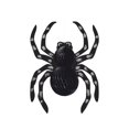 thumbnail image 1 of Unique Party - Decoración Colgante Diseño Araña de Purpurina Halloween (Negro, Plateado), 1 of 2