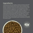 thumbnail image 4 of Muenster Perfect Balance Ancient Grains Chicken & Pork Dry Dog Food, All Life Stages, 25 lb Bag, 4 of 11