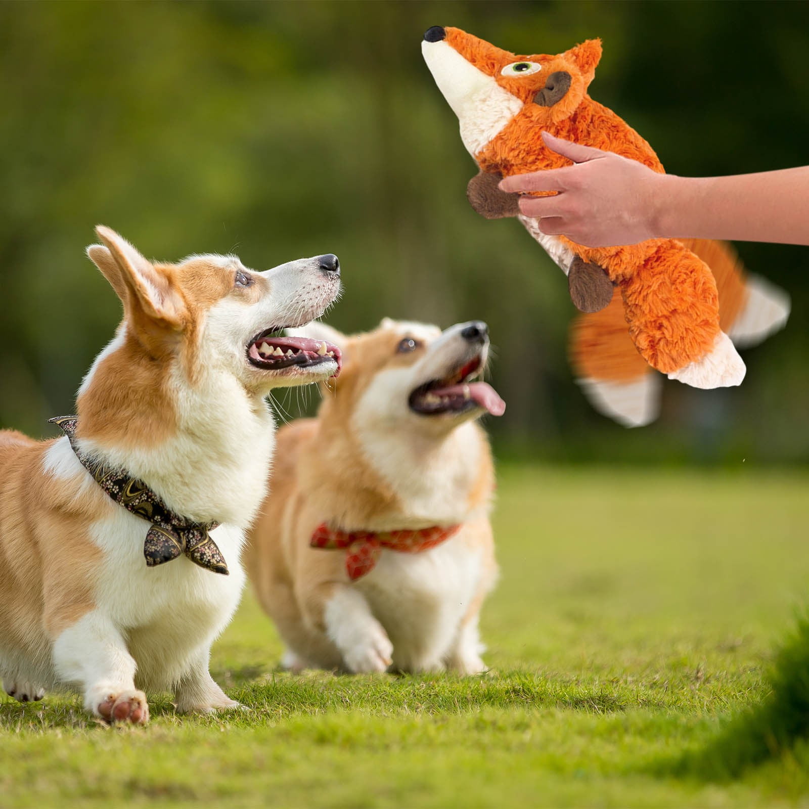 Interactive Pet Toy with Automatic Motion for Cats and Dogs Rattle Rechargeable Core Mint-Scented Design