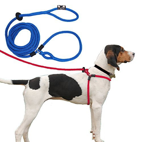dog leash harness combo
