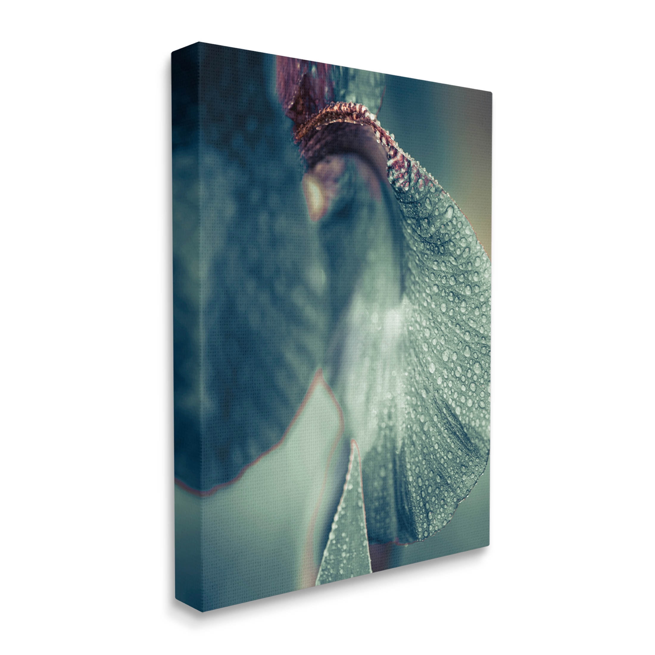 Close Up Water Drip Petals Botanical & Floral Photograph Gallery Wrapped Canvas Print Wall Art