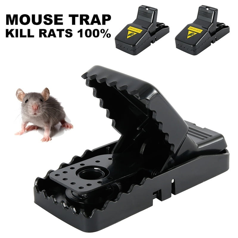 mouse trap for small mice