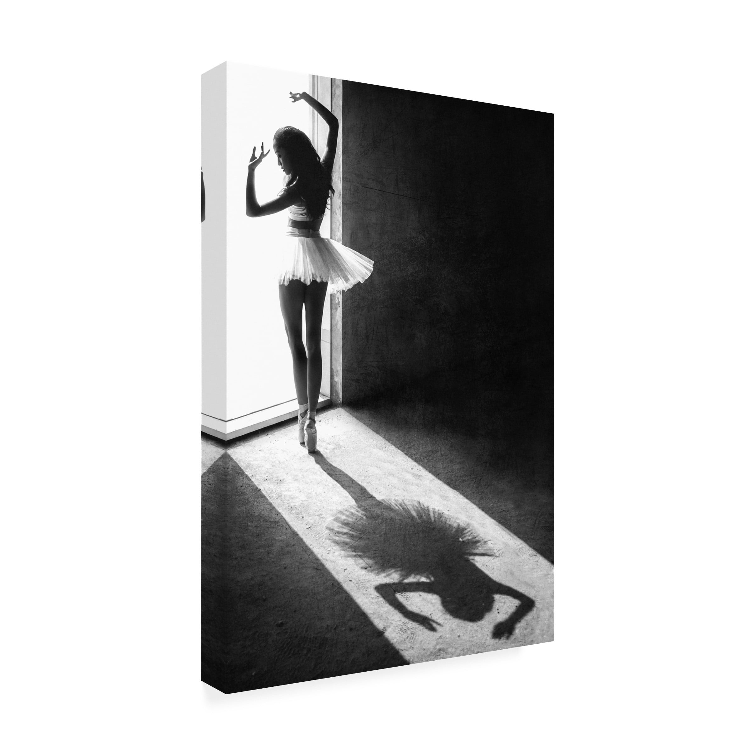 Sebastian Kisworo 'Shadow Dance' Canvas Art