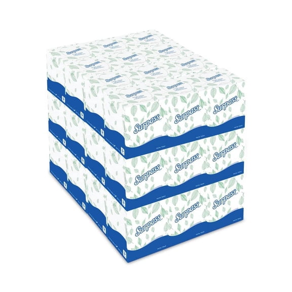 Surpass Facial Tissue 2-Ply (110-Count)