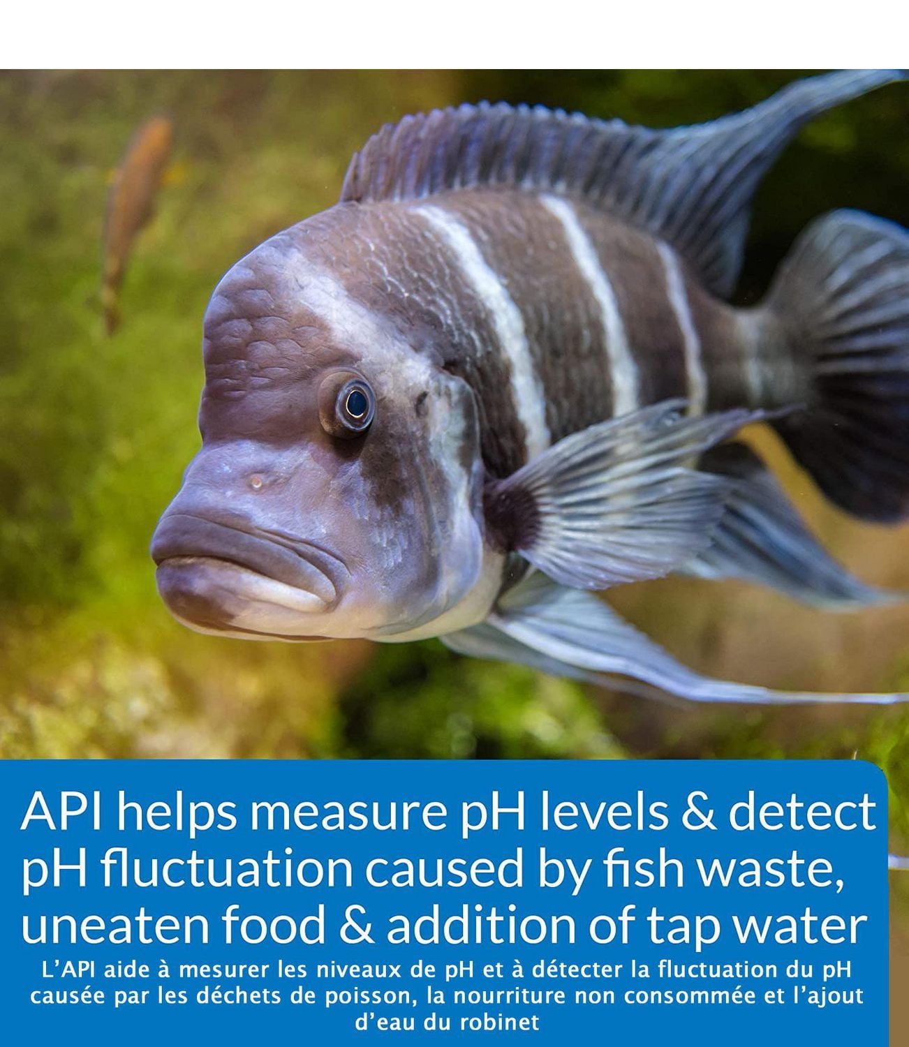 Kit de test aquatique PH haute gamme API