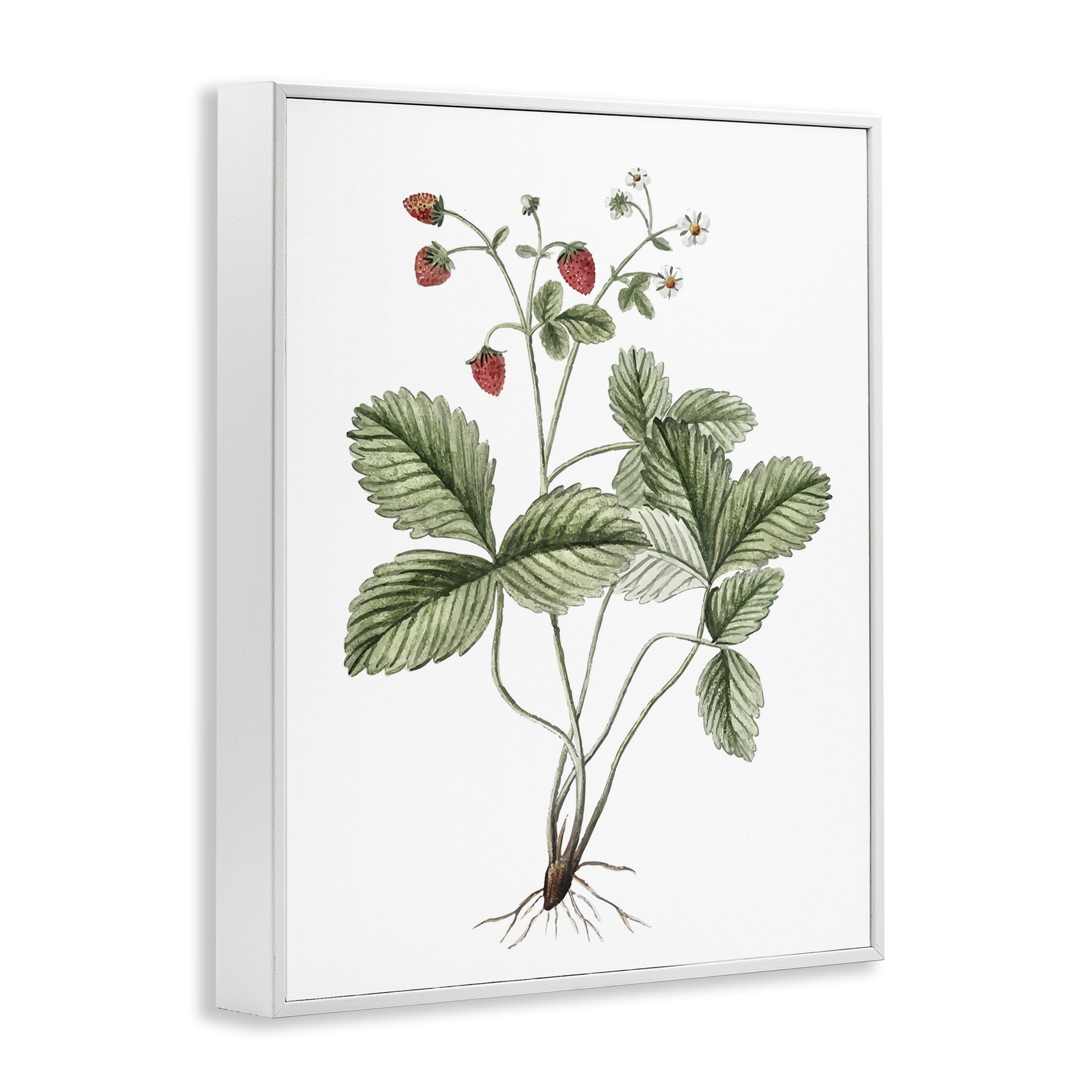 Stupell Industries Budding Strawberries Study Food & Beverage Painting White Framed Art Print Wall Art, 16 x 20