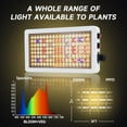 thumbnail image 4 of LED 1000W Grow Light Full Spectrum, Plant Grow Light with Veg & Bloom Switch for Hydroponic Indoor Plants LED Grow Lamp with Daisy Chain, 4 of 12