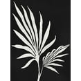 thumbnail image 2 of Prime, Marcus 12x14 White Modern Wood Framed Museum Art Print Titled - Silhouetted Growth, 2 of 4
