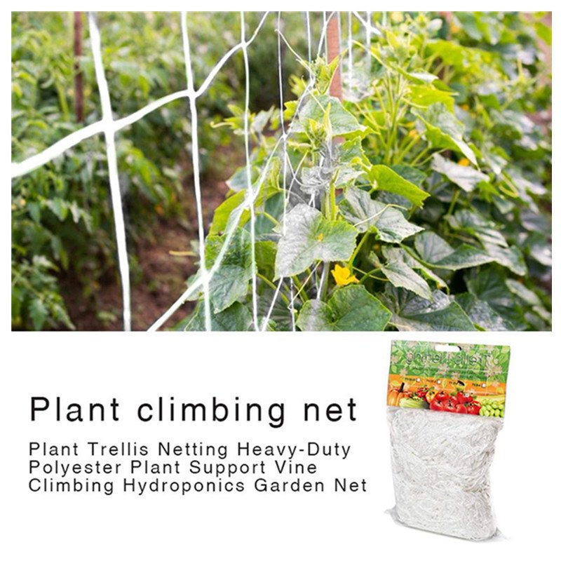 1,5x30m Filet pour Plantes, Filet de Support pour Plantes grimpantes 1,5x30m Filet pour Plantes, Filet de Support pour Plantes grimpantes