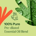 thumbnail image 5 of Plant Therapy Zit Fighter Essential Oil Blend Pre-Diluted Roll-On 10 mL (1/3 oz) 100% Pure, Therapeutic Grade, 5 of 8