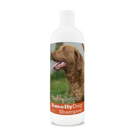 Healthy Breeds Alaskan Malamute Oatmeal Dog Shampoo with Aloe 16 oz Walmart