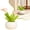D, variant on Clearance Under $5 Flower Figurine Resin Ornament Resin For Desk Zen Decor Shelf Collectible (A) (1Pc)