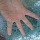 thumbnail image 5 of Funda protectora impermeable para silla colgante de patio, 5 of 5