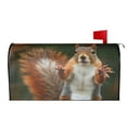 thumbnail image 3 of PHELIKA Squirrel Funny Animal Meets 01 Magnetic Mailbox Covers Post Letter Box Cover Standard Size 21"H x 18"W, 3 of 8