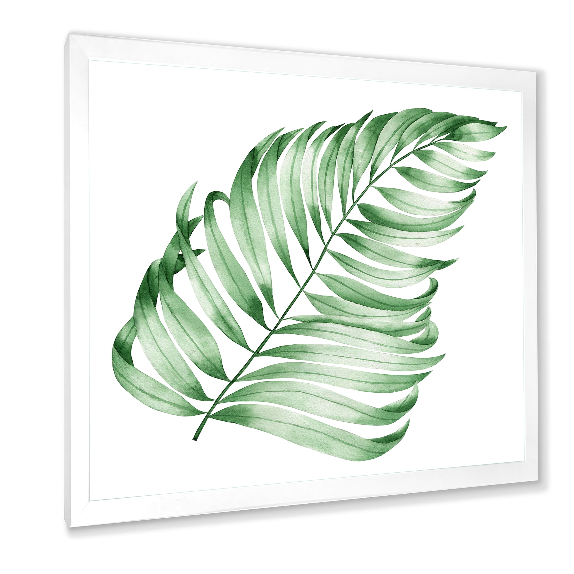 Designart 'Close Up Of Tropical Leaf Of Monstera II' Farmhouse Framed Art Print