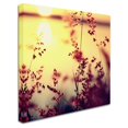thumbnail image 2 of Trademark Fine Art "At the End of the Day" Canvas Art by Beata Czyzowska Young, 2 of 3