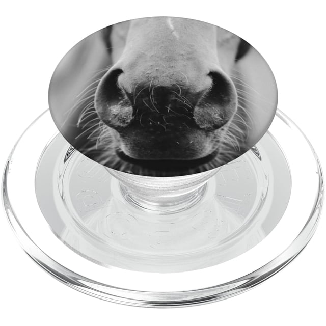 Agarre intercambiable para teléfono y tableta PopSockets PopGrip Horse