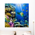 thumbnail image 1 of Coral Colony and Coral Wall Decal by Wallmonkeys Peel and Stick Graphic (36 in H x 36 in W) WM265607, 1 of 4