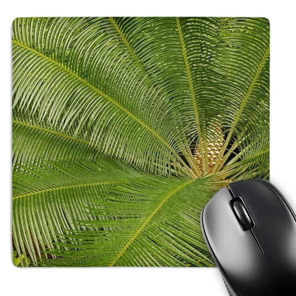 3dRose, Tropical plant pattern, Longwood Gardens, PA - US39 AJE0014 - Adam Jones, MousePad