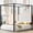 Black White+Upholstered+Queen, variant on HMYG Queen Upholstered Canopy Platform Bed with Headboard and Metal Frame, White