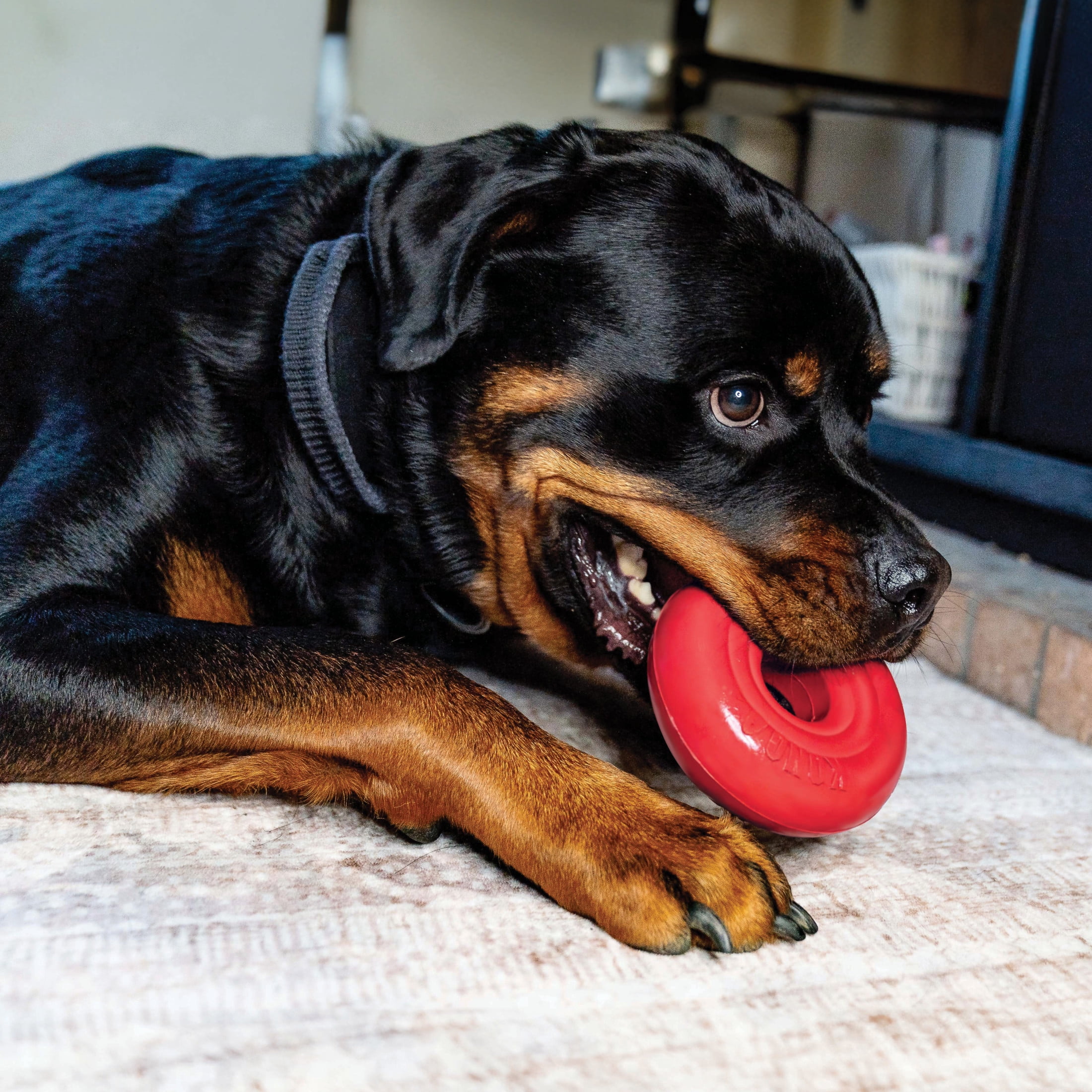 KONG® Donut Durable Dog Chew Toy, Red, Large/Extra Large