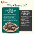 thumbnail image 7 of NY SPICE SHOP Dried Mugwort Herb - 3 Pound - Dry Herbal Leaves Tea Herb - Cut & Sifted, 7 of 7