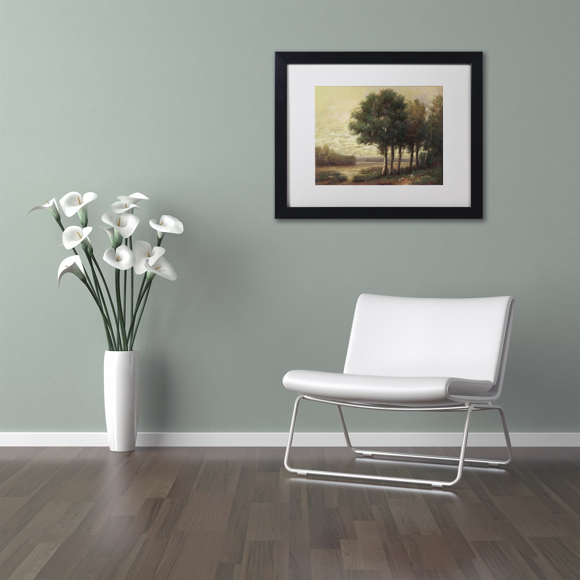 Trademark Fine Art "Tranquility" Canvas Art by Daniel Moises, White Matte, Black Frame
