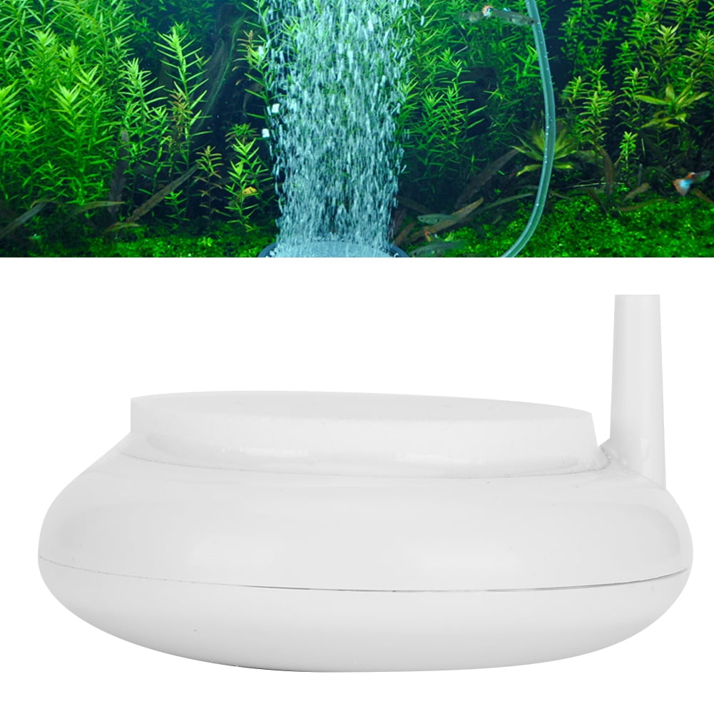 bubble air stone aquarium