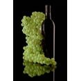 thumbnail image 2 of C. Thomas McNemar 31x44 Gallery Wrapped Canvas Wall Art Titled - Wine Reflections III, 2 of 4