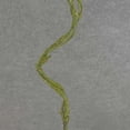 thumbnail image 5 of 1 Pc, 31 Inch Curly Willow Twig Spray w/3 Branches For Floral Arrangement & Home Decor - Green, 5 of 5