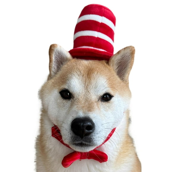 Disfraz de perro ComfyCamper, sombrero de copa rojo y blanco, pajarita M