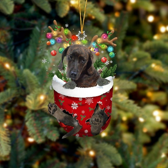Acrylic 2D FLAT - Plott Hound In Snow Pocket Christmas Ornament Flat Acrylic Dog Ornament - Holiday Tree Decoration
