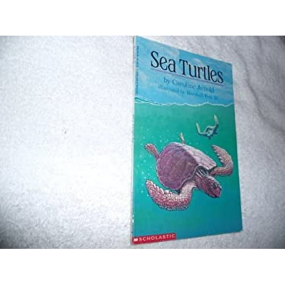 Sea Turtles (Paperback) by Caroline Arnold
