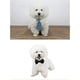 thumbnail image 3 of Piezas Mascotas Perro Gato Pajarita Disfraz de Mascota Corbata Formal Collar Ajustable para Gatos Perros Pequeños Cachorros Accesorios de Aseo (L), 3 of 4
