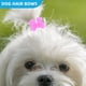 thumbnail image 4 of GOOHOCHY 20 lazos para el pelo con gomas elásticas para perros pequeños de pelo largo, accesorios para el aseo y celebraciones navideñas., 4 of 7