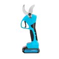 thumbnail image 1 of Electric Pruning Shears For Garden Fruit Trees 4cm Cutting Capacity, 1 of 7